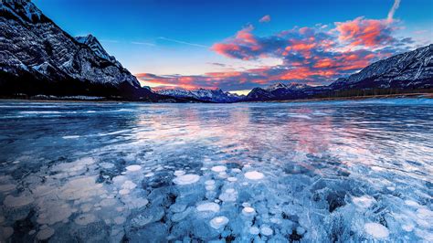 Stacks Of Methane Bubbles Under Ice In Abraham Lake At