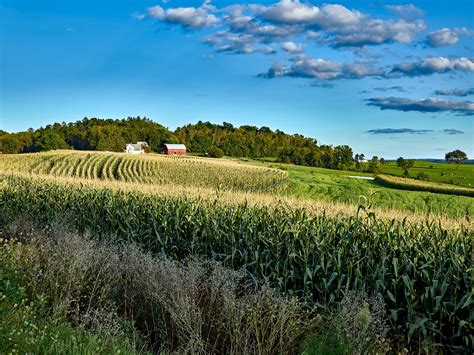Designing Agricultural Landscapes To Provide More Than Crops Great
