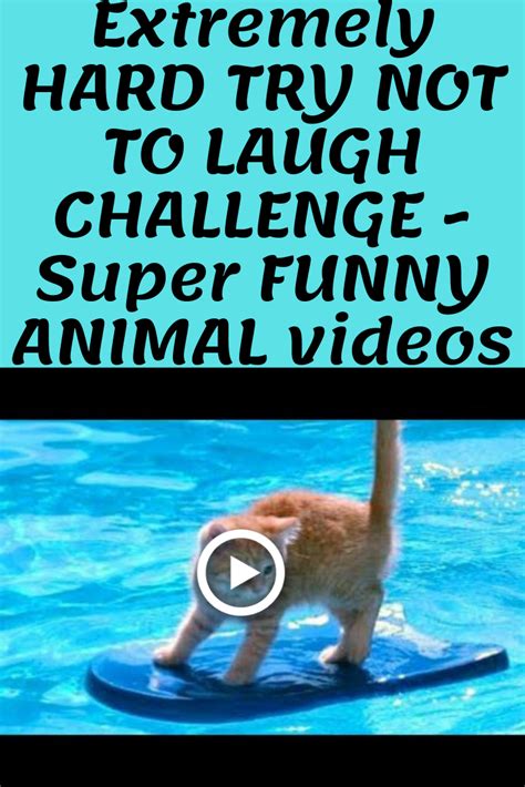 Extremely Hard Try Not To Laugh Challenge Super Funny
