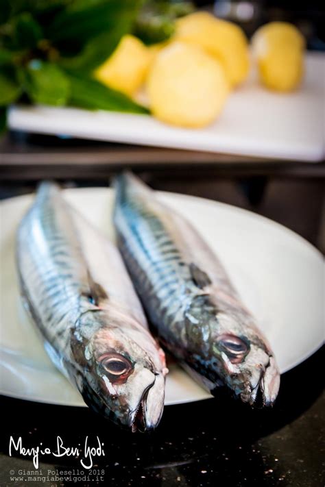 Lo sgombro, un pesce povero, alla portata di tutti, che in questa veste sembra un piatto uscito da un ristorante blasonato. Sgombro in padella alla cacciatora con patate a spicchi ...