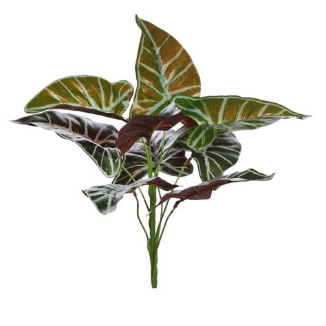 Planta Alocasia Sanderiana Artificial ⋆ Snakeroom Serpentarium