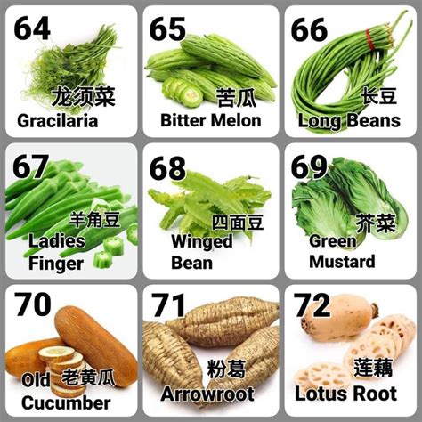 Fiszkoteka, your checked malaysian english dictionary! 蔬菜名 中文,英文,马来文 对照 - Malaysia News Sharing Center Malaysia ...