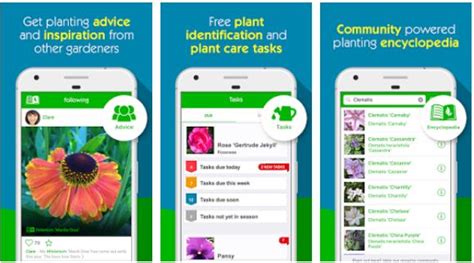 With this free tool for android and ios you can identify plants particularly easily and accurately. Top 5 Best plant identification app (2019)