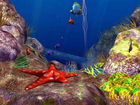 Free Download 3d Screensaver Vollversion Coral Reef Aquarium 3d