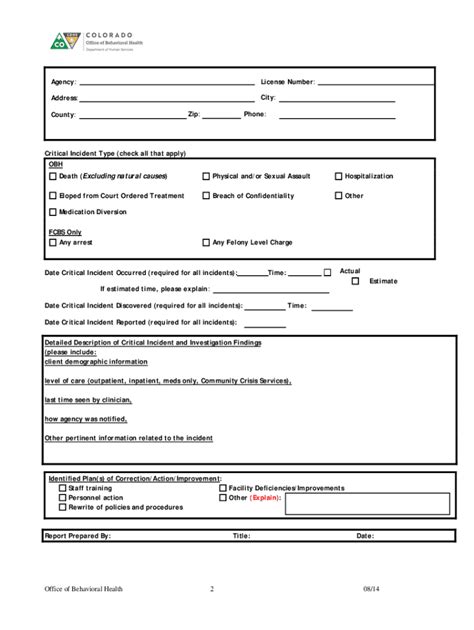 Critical Incident Form Fill Online Printable Fillable Blank