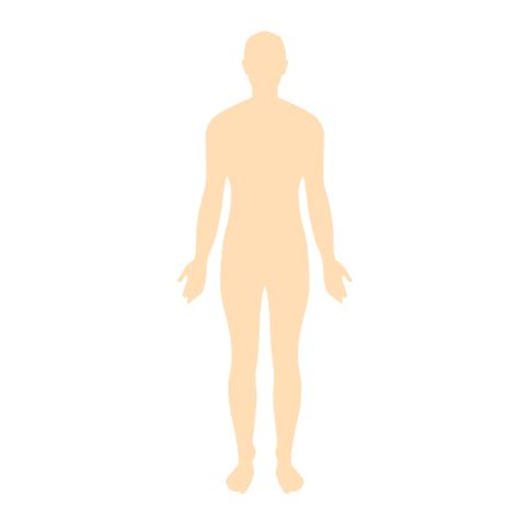 Human Body Man Silhouette Transparent Png And Svg Vector File