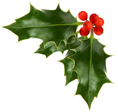 ✓ free for commercial use ✓ high quality images. Free Corner Garland Cliparts, Download Free Clip Art, Free Clip Art on Clipart Library