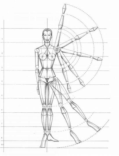 Human Drawing Figure Proportion Proportions Draw Rule