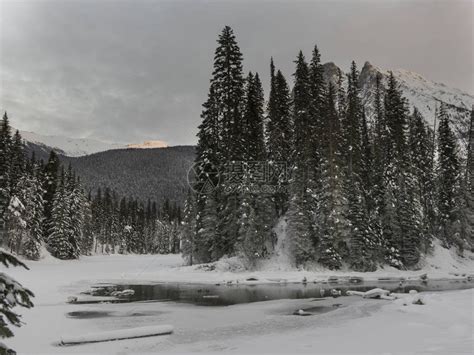 加拿大不列颠哥伦比亚省幽鹤公园翡翠湖冬季在积雪覆盖的山谷高清图片下载 正版图片505181706 摄图网