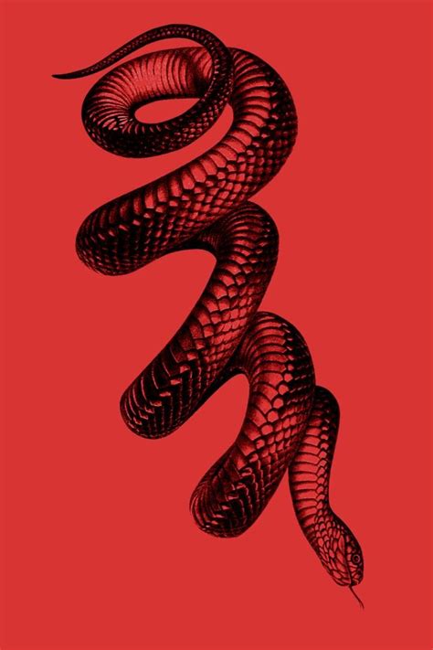 Archillect On Twitter Snake Art Art Wallpaper Diy Tattoo