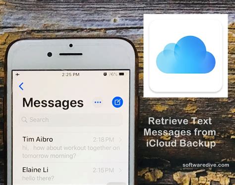 How to Retrieve Deleted Text Messages from iCloud Backup ...