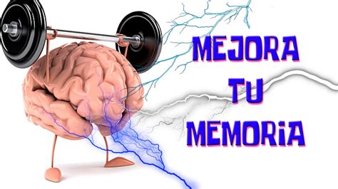 Como Mejorar La Memoria Hábitos Y Consejos Para Mejorar La Memoria