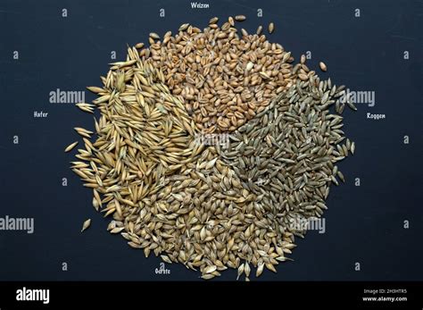 Grain Varieties Cereals Cereal Grains Stock Photo Alamy