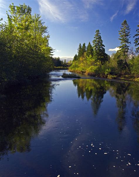 Still In The River More Autumn Color From Debert Property1 Flickr