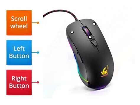 Computer Mouse Labelled Diagram