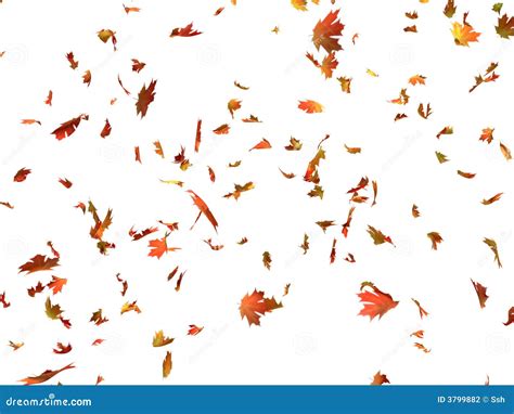 Fallende Blätter Stockfoto Bild Von September Botanik 3799882