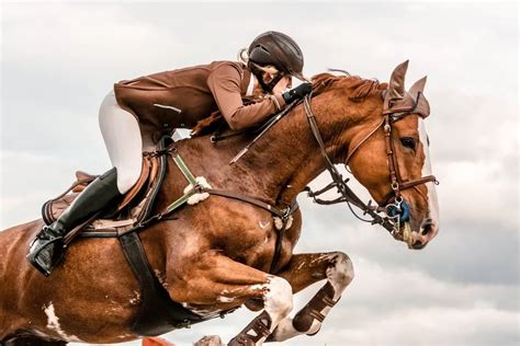 Horse Show Jumping Attire Rules And Etiquette Explained Best Horse