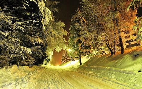 Winter Nature Snow Night Trees Road Lights Wallpapers Hd
