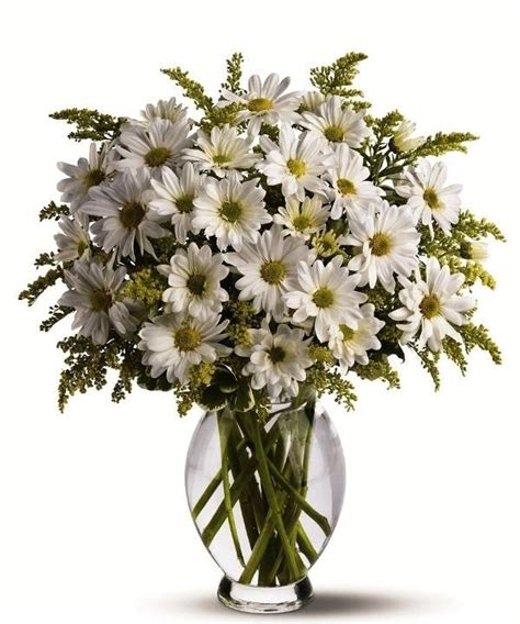 White Daisy Vase Flower Arrangements Simple Vase Flower Arrangements