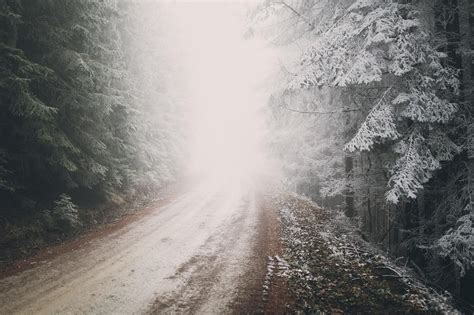 Wallpaper Sunlight Trees Forest Nature Snow Winter Road