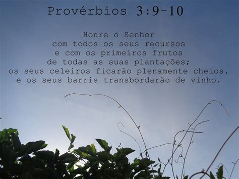 Terezinha Tavares Provérbios 3 9 10