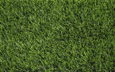 Artificial Green Grass Texture High Quality Nature Stock Photos