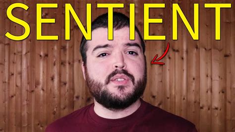 SENTIENT, ça veut dire quoi ? #286 - YouTube