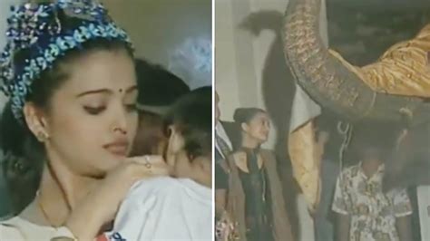 Aishwarya Rai Comforts Crying Baby Salutes Elephant In Rare Video