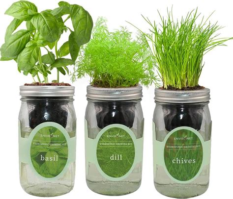 Environet Hydroponic Herb Growing Kit Set Self Watering