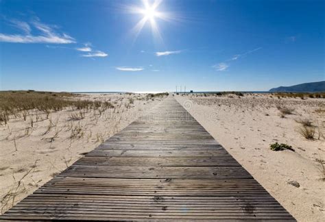 Wooden Walkway Leading To The Beach Over Sand Dunes Stock Photo Image