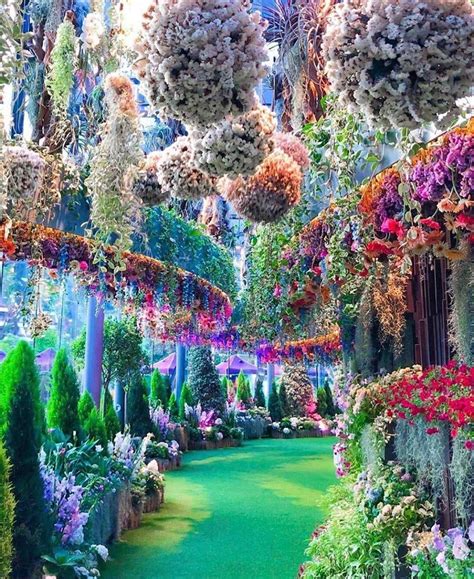 Breathtaking Gardens Located In Singapore Natureisfuckinglit