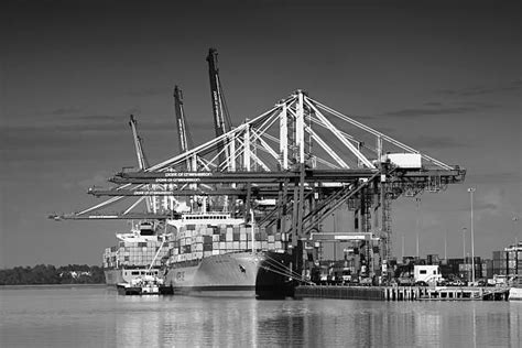 Charleston Harbor Stock Photos Pictures And Royalty Free Images Istock