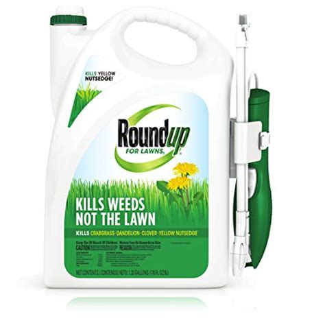 Best Weed Killer For Your Lawn Top Products September
