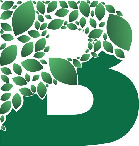 B Logo Design Png