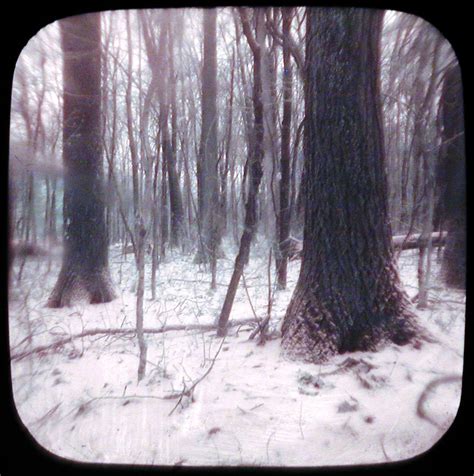 Digital Infrared Ttv Feb By John Fobes Ansco Redifle Flickr