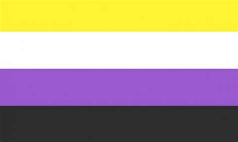 The Non Binary Flag A Symbol Of Inclusion The Case Against 8