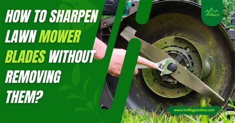 How To Sharpen Lawn Mower Blades Without Removing Them