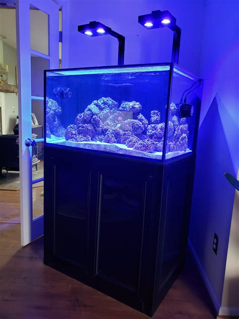 Innovative Marine Nuvo Int 75 Gal Aquarium Black Aps Stand Refugium