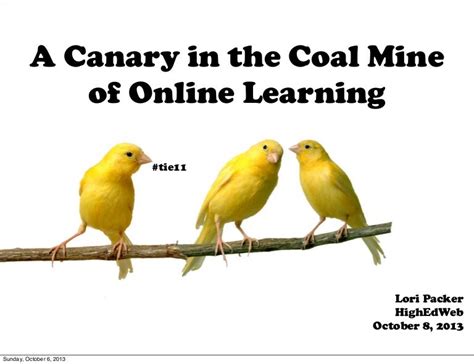 Canary In The Coal Mine Of Online Learning