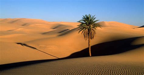 Hd Wallpapers Desert Wallpapers