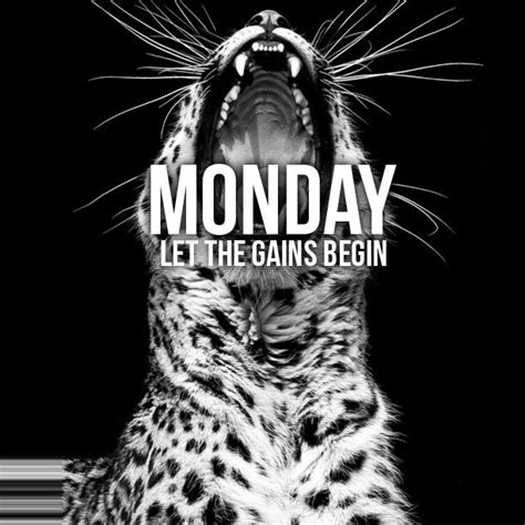 Monday Motivation Monday Music Monday Quotes Monday Meme Monday