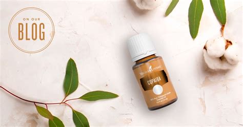 ©2008 • young living essential oils www.youngliving.com. Copaiba Essential Oil dari Young Living - Kebaikan dan ...