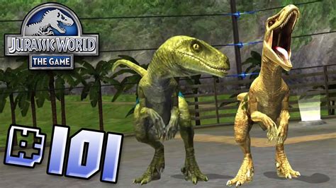 Raptor Pack Brawlasaur Gold Raptor Jurassic World The Game Ep 101 Hd Youtube