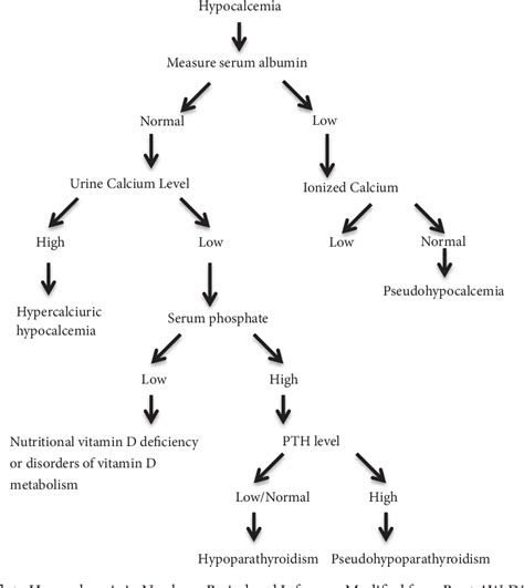 Figure From Clinical Approach To Hypocalcemia In Newborn Period And