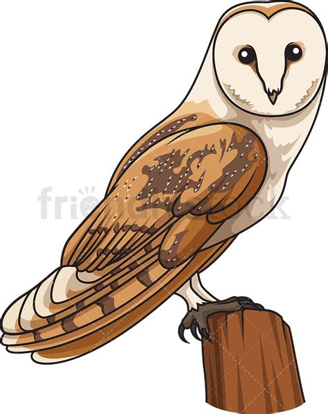 Cartoon Barn Owl Drawing Clătită Blog
