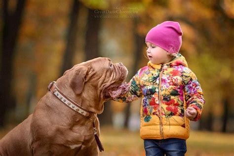 36 Truly Magical Photos Of Little Kids And Their Big Dogs
