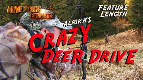 Crazy Deer Drive Youtube