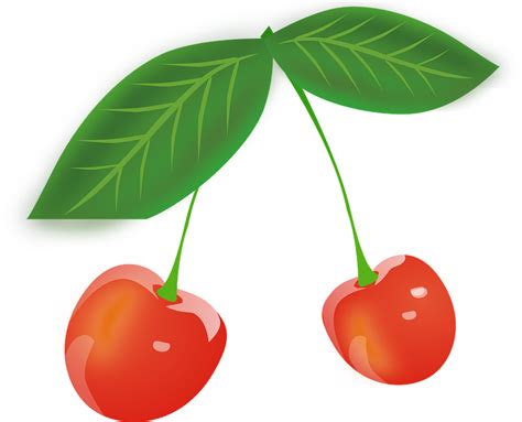 Cherry Fruits Red Berries Leaves Png Cartoon Cherries Clipart