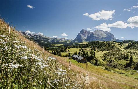 +39 349 4432205 info@appartaments.it | tipo x | tipo y | tipo y+ | tipo z | appartamento tipo x : Vacanze all'Alpe di Siusi - hotel, alberghi e appartamenti