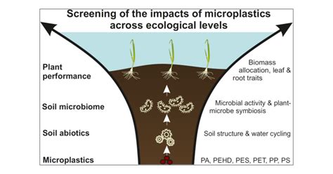 Microplastics Can Change Soil Properties And Affect Plant Performance